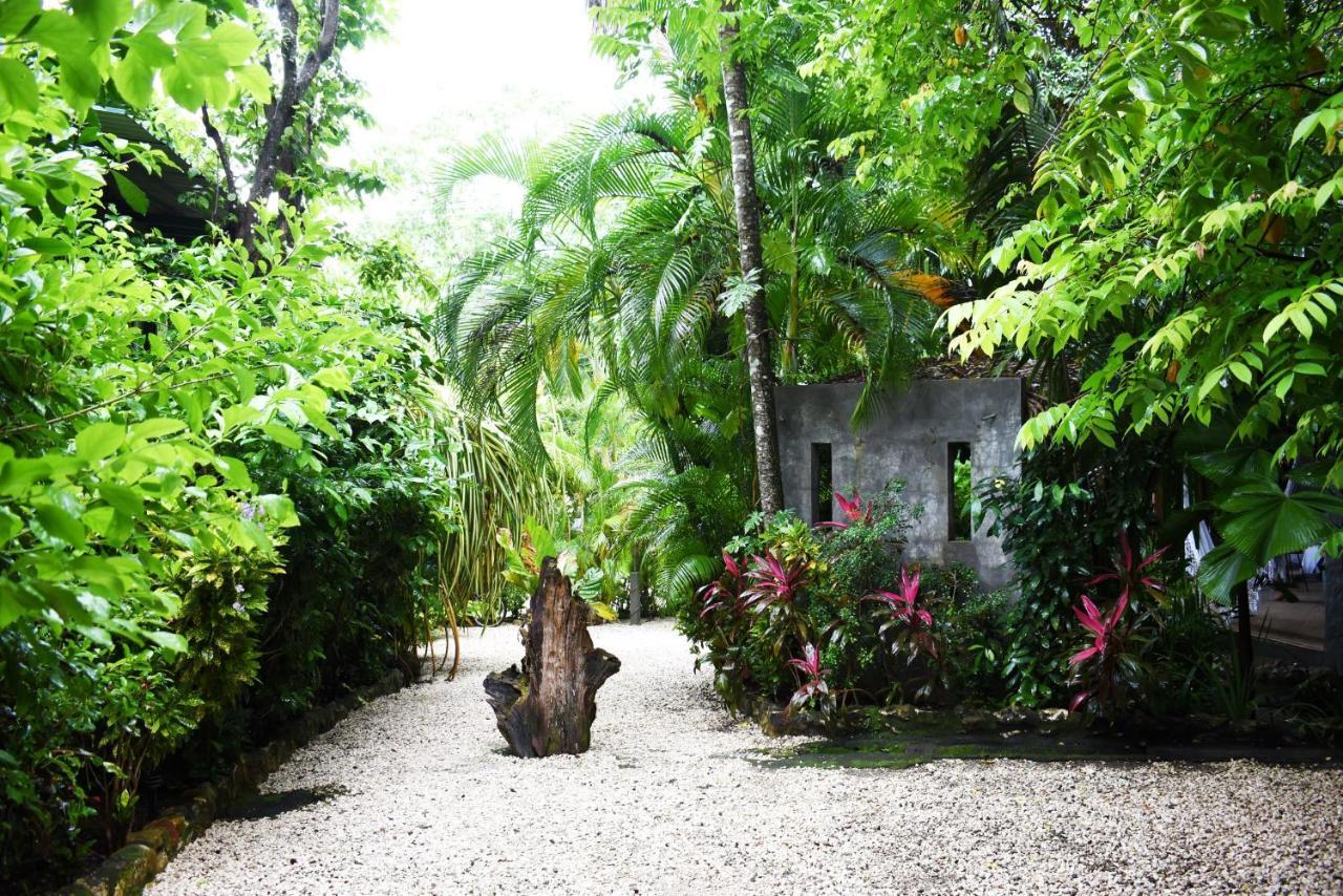 Pachamama Lodge Playa Santa Teresa  Luaran gambar